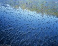 beach, reflections, gowlland rocks, pacific rim provincial park, british columbia, canada, water