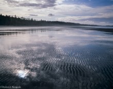 Combers Beach, Pacific Rim National Park, British Columbia, Canada, sky, reflection, sand, ripples