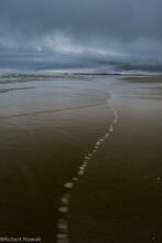 combers beach, canada, british columbia, storm, morning, pacific rim provincial park, 