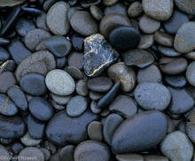Art in Nature photo