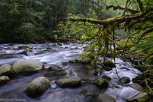 Wallace River, Wallace Falls State Park, Lower Wallace Falls, Washington