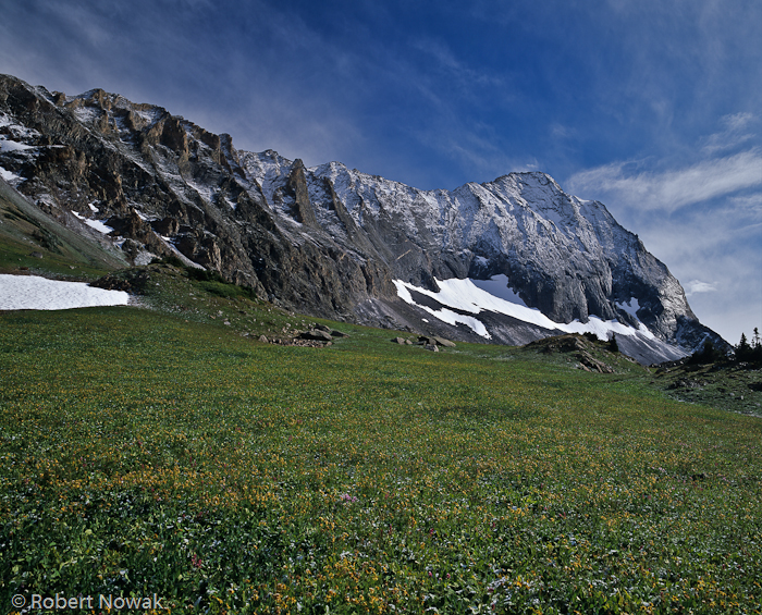 Robert Nowak, photography, fine art, nature, photo