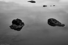 Stillness