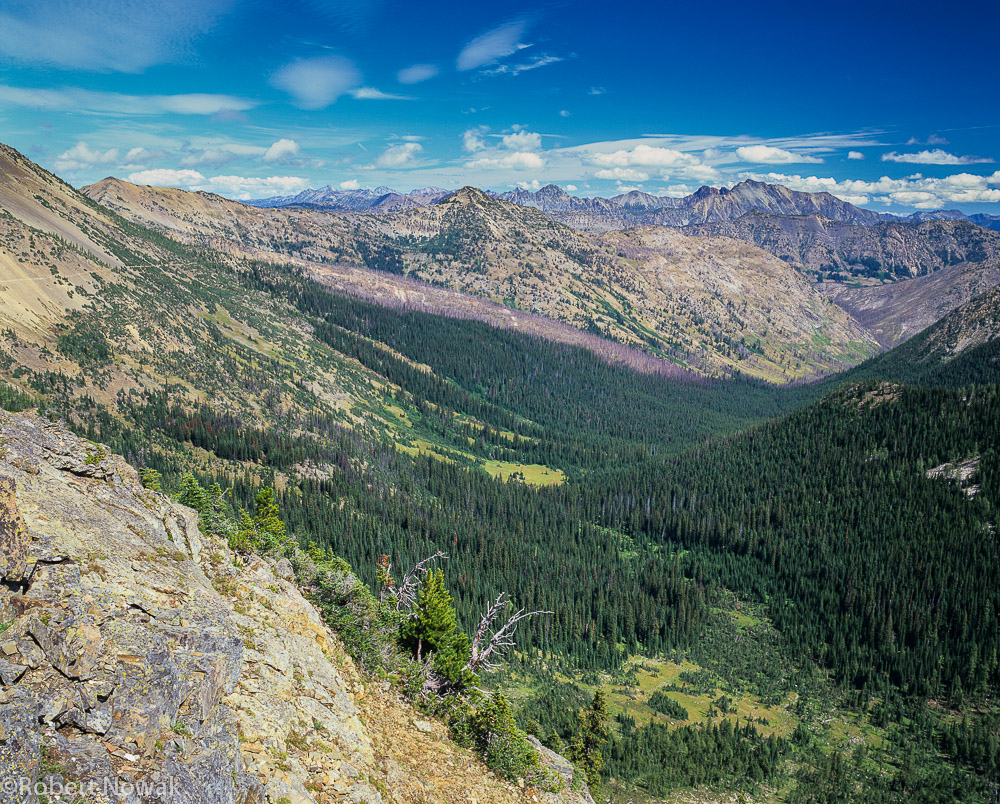 Looking east from Grasshopper Pass trail