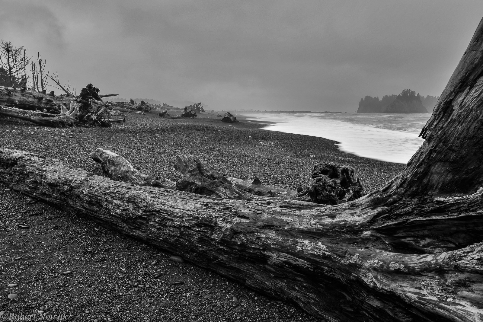 Driftwood logs scattered across Rialto Beach.